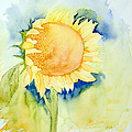 Sunflower 1 Painting by Laurel Best Sunflower 1 Painting by Laurel Best