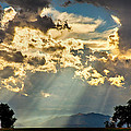 Sunlight Raining Down From the Heavens Photograph by James BO Insogna Sunlight Raining Down From the Heavens Photograph by James BO Insogna