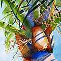 Sunlit Palm Painting by Carlin Blahnik CarlinArtWatercolor Sunlit Palm Painting by Carlin Blahnik CarlinArtWatercolor