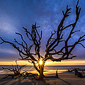 Sunrise Jewel Photograph by Debra and Dave Vanderlaan Sunrise Jewel Photograph by Debra and Dave Vanderlaan