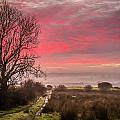 Sunrise over Decomade Pasture in County Clare Photograph by James Truett Sunrise over Decomade Pasture in County Clare Photograph by James Truett