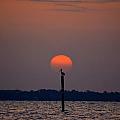 Sunrise Pelican Silhouette on Sound by Jeff at JSJ Photography
