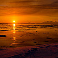 Sunset Alaska by Nikolai Martusheff