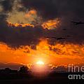 Sunset Fly By Digital Art by Airpower Art Sunset Fly By Digital Art by Airpower Art