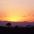 Sunset Over A Landscape, Tarangire Photograph by Panoramic Images