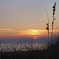 Sunset Paradise by Betsy Knapp Sunset Paradise by Betsy Knapp