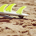 Surfboard fins Photograph by Carlos Caetano Surfboard fins Photograph by Carlos Caetano
