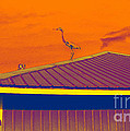 Surrealist Heron by Marian Bell Surrealist Heron by Marian Bell