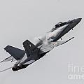 Swiss Hornet Photograph by Airpower Art Swiss Hornet Photograph by Airpower Art