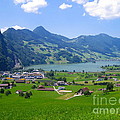 Swiss Landscape Photograph by Amanda Mohler Swiss Landscape Photograph by Amanda Mohler