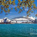 Sydney Harbour Skyline 2 Photograph by Az Jackson Sydney Harbour Skyline 2 Photograph by Az Jackson