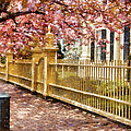 Take A Walk Along Federal Street by Jeff Folger Take A Walk Along Federal Street by Jeff Folger