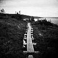 Take Me to the Sea - East Coast Trail Photograph by Zinvolle Art Take Me to the Sea - East Coast Trail Photograph by Zinvolle Art