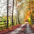 Take the Back Roads Photograph by Debra and Dave Vanderlaan Take the Back Roads Photograph by Debra and Dave Vanderlaan