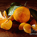 Tangerine by Iris Richardson Tangerine by Iris Richardson
