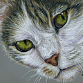 Tara Cat Art by Michelle Wrighton