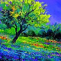 Texan oak 764110 Painting by Pol Ledent Texan oak 764110 Painting by Pol Ledent