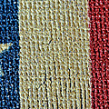 Texas First Lone Star Dodson's Flag by Bill Owen Texas First Lone Star Dodson's Flag by Bill Owen