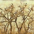 Thats A Lot Of Great Blue Heron Photograph by James BO Insogna Thats A Lot Of Great Blue Heron Photograph by James BO Insogna