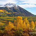 The Ascent Photograph by Jim Garrison The Ascent Photograph by Jim Garrison
