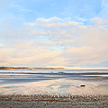 The Beach At Tofino Photograph by Theresa Tahara The Beach At Tofino Photograph by Theresa Tahara