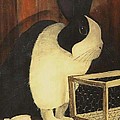 The Black and White Dutch Rabbit 2 Painting by Diane Strain The Black and White Dutch Rabbit 2 Painting by Diane Strain