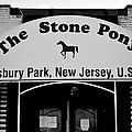 The Boss Stone Pony Asbury Park by Terry DeLuco The Boss Stone Pony Asbury Park by Terry DeLuco