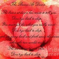 The Breeze at Dawn - Rose - Rumi Quote - Don't Go Back to Sleep by Barbara Griffin The Breeze at Dawn - Rose - Rumi Quote - Don't Go Back to Sleep by Barbara Griffin