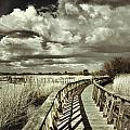 The Bridge Retro Serie by Guido Montanes Castillo The Bridge Retro Serie by Guido Montanes Castillo