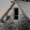The Crows Nest by Susan Capuano The Crows Nest by Susan Capuano