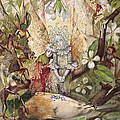 The Death Of Cock Robin by John Anster Fitzgerald The Death Of Cock Robin by John Anster Fitzgerald