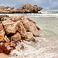 The Dragon of Labadee Photograph by Mitchell R Grosky The Dragon of Labadee Photograph by Mitchell R Grosky