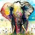 The Rainbow Elephant - Xxl Format Art Print by Tiberiu Soos The Rainbow Elephant - Xxl Format Art Print by Tiberiu Soos