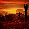 The Essence of the Southwest Photograph by Saija Lehtonen The Essence of the Southwest Photograph by Saija Lehtonen