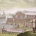 The Fishing Industry In Newfoundland by G Bramati The Fishing Industry In Newfoundland by G Bramati