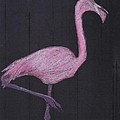the Flamingo Digital Art by George Pedro the Flamingo Digital Art by George Pedro