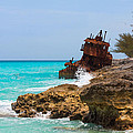 The Gallant Lady Photograph by Ed Gleichman The Gallant Lady Photograph by Ed Gleichman