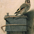 The Goldfinch Painting by Carel Fabritius The Goldfinch Painting by Carel Fabritius