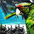 The Great Bird Of Casablanca by Seth Weaver The Great Bird Of Casablanca by Seth Weaver