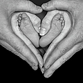 The Heart by Larry Braun