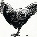 The Hen by George Adamson The Hen by George Adamson