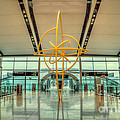 The Journey Home by Evelina Kremsdorf The Journey Home by Evelina Kremsdorf