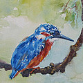 The Kingfisher Painting by Jyotika Shroff The Kingfisher Painting by Jyotika Shroff