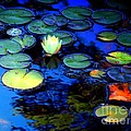 The Last Lily by Marcia Lee Jones