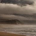 The survivor Photograph by Jorge Maia