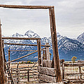 The Loading Gate Photograph by Jim Garrison The Loading Gate Photograph by Jim Garrison