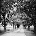 The Long Road Home by Edward Fielding The Long Road Home by Edward Fielding
