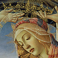 The Madonna of the Magnificat by Botticelli Painting by Sandro Botticelli The Madonna of the Magnificat by Botticelli Painting by Sandro Botticelli