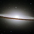 The Majestic Sombrero Galaxy Photograph by Ricky Barnard The Majestic Sombrero Galaxy Photograph by Ricky Barnard