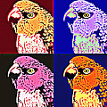 The Many Faces of Taz by Ana Tirolese